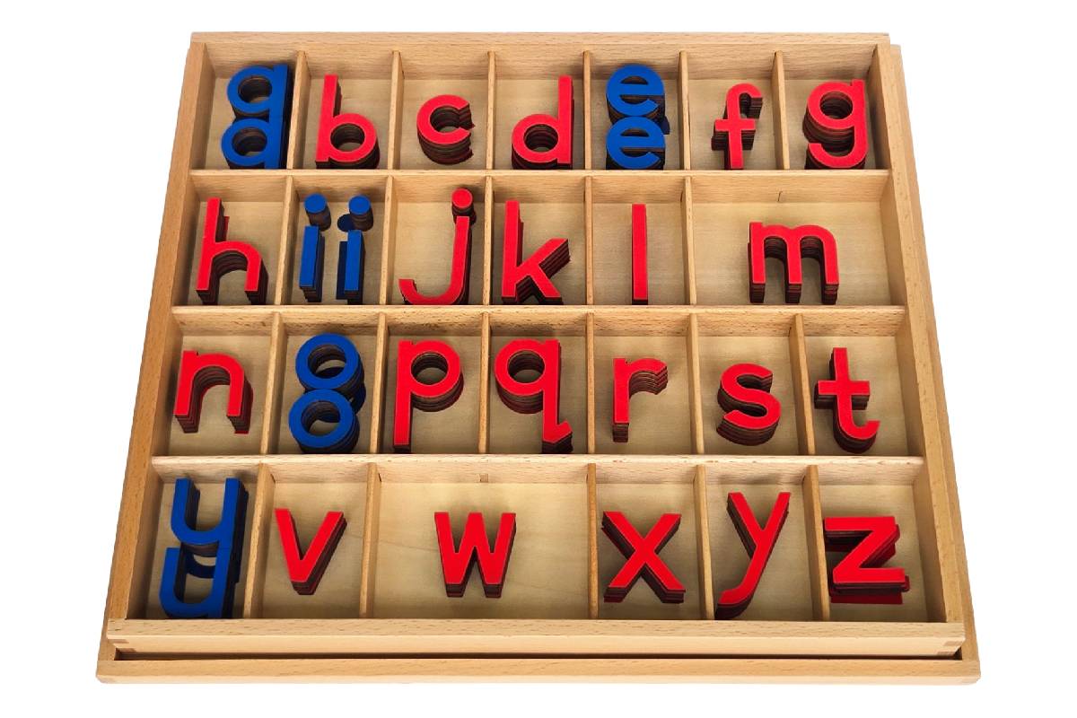 Movable Alphabet with Box - Print - IFIT Montessori