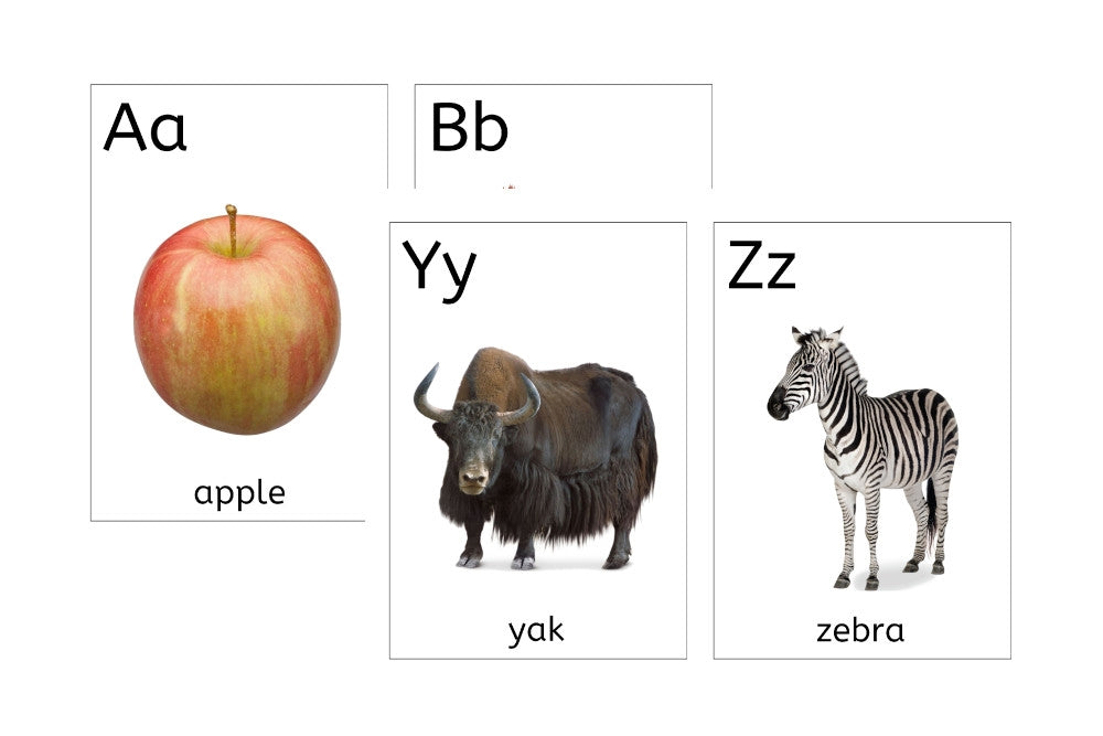 Large Alphabet Flashcards (PDF)