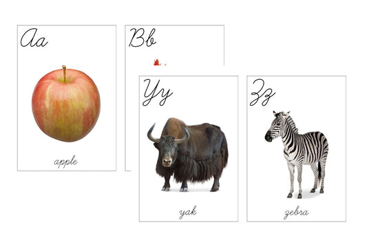 Large Cursive Alphabet Flashcards (PDF)