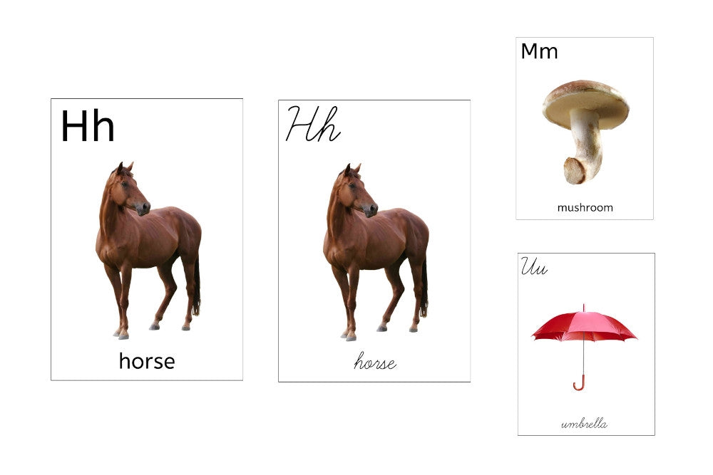 Alphabet Flashcards Bundle (PDF)