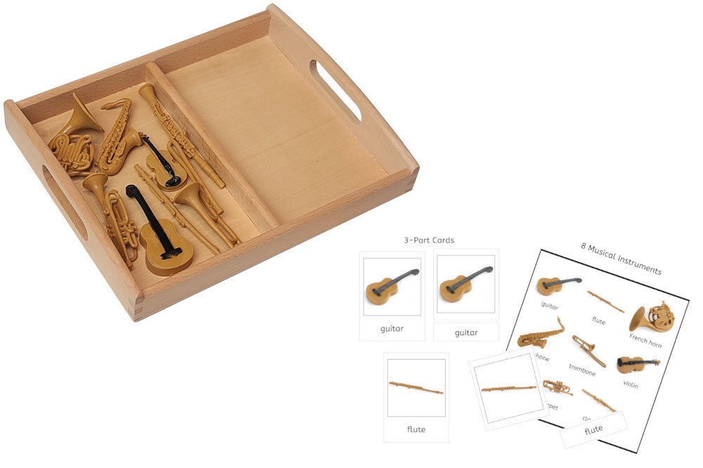 8 Musical Instrument Models with 2-Compartment Tray and PDF Cards ...