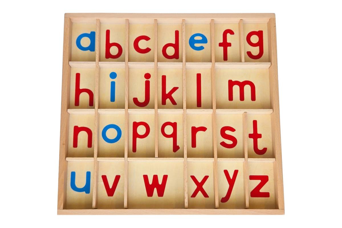 Alphabet In A Box Movable Alphabet with Box - Print (Thin) - IFIT Montessori