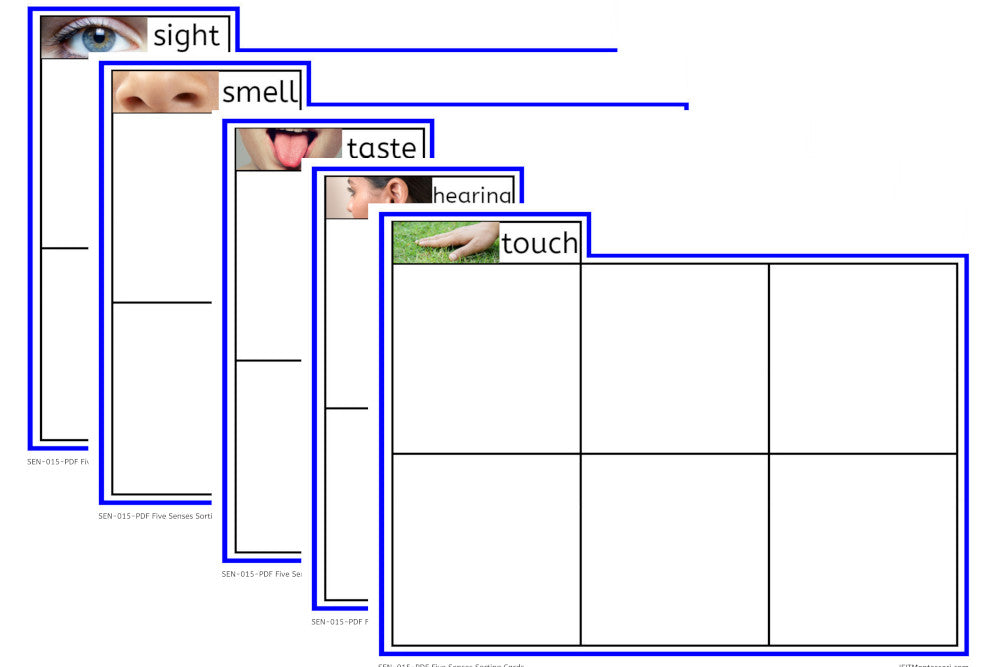 IFIT Montessori: Five Senses Sorting Cards (PDF)