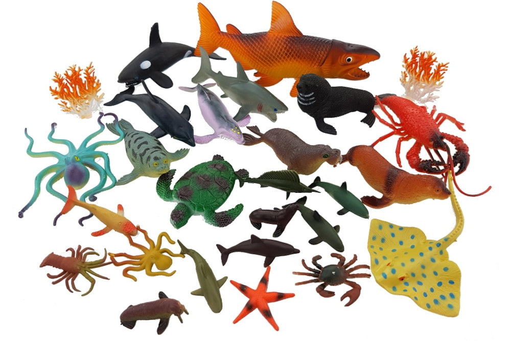 25 Marine Animals